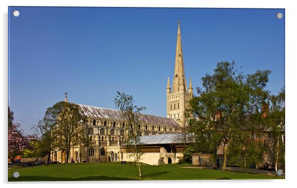  Norwich Cathedral Acrylic by Darren Burroughs