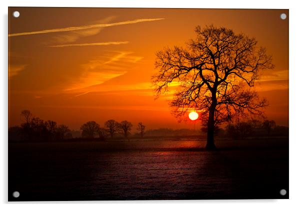 New year Sunrise Acrylic by Darren Burroughs