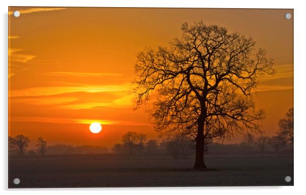 Winter sunrise Acrylic by Darren Burroughs