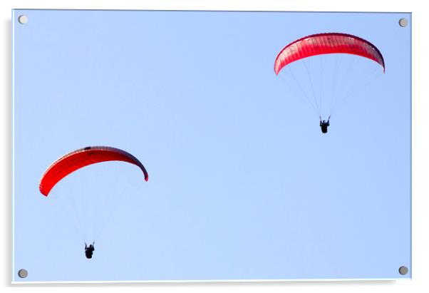 Paragliders Acrylic by Darren Burroughs