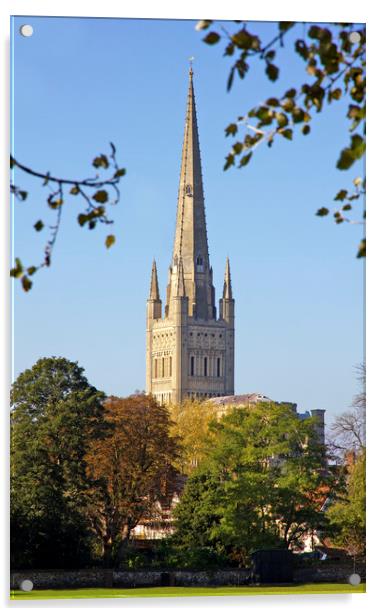 Norwich Cathedral Acrylic by Darren Burroughs