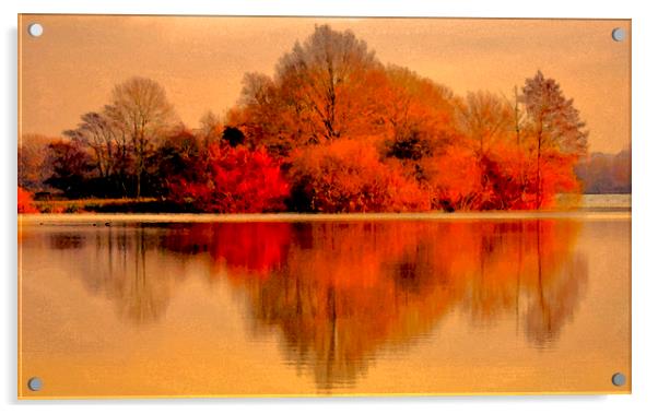 Dreamy Lake Reflections Acrylic by Darren Burroughs