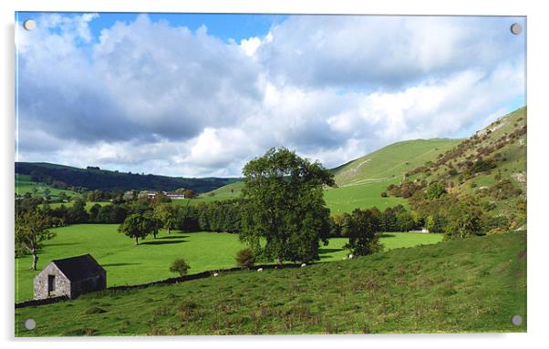 View from Thorpe Cloud Acrylic by Darren Burroughs