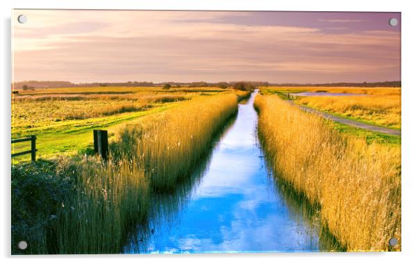 Minsmere RSPB Suffolk Acrylic by Darren Burroughs