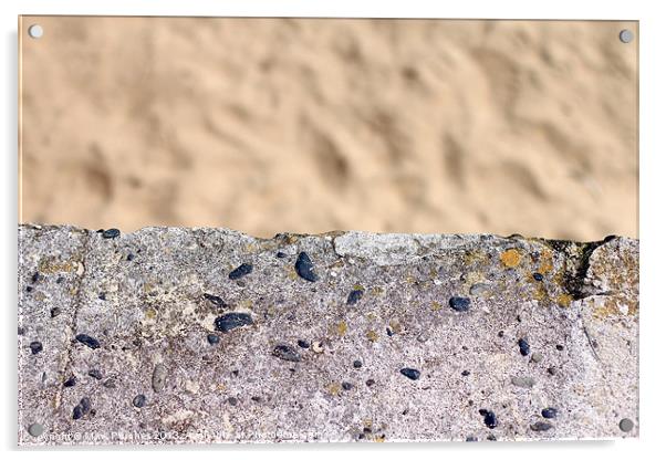 Soft Sandy Beach and Hard Concrete Wall Texture Ba Acrylic by Mark Purches