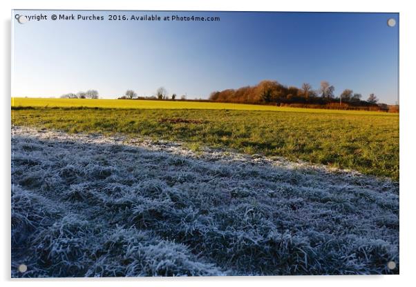 Winter Frosty Grass Landscape with Vibrant Blue Sk Acrylic by Mark Purches