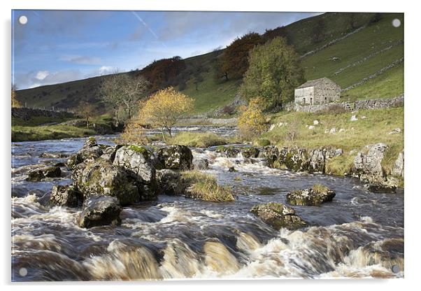 Deepdale & The River Wharfe Acrylic by Steve Glover