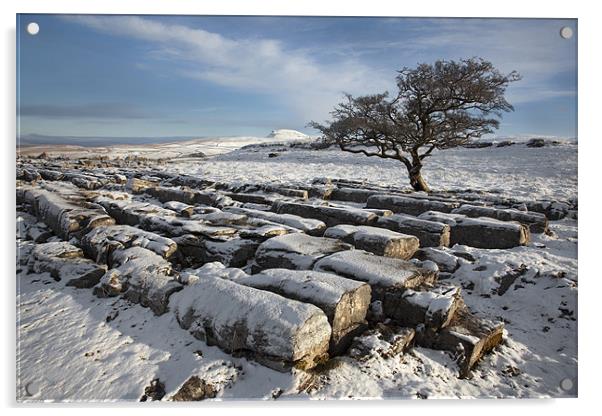 Winter In Ribblesdale Acrylic by Steve Glover