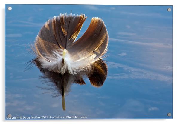 Feather Acrylic by Doug McRae