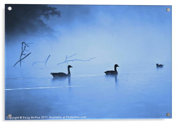 Geese in the mist Acrylic by Doug McRae