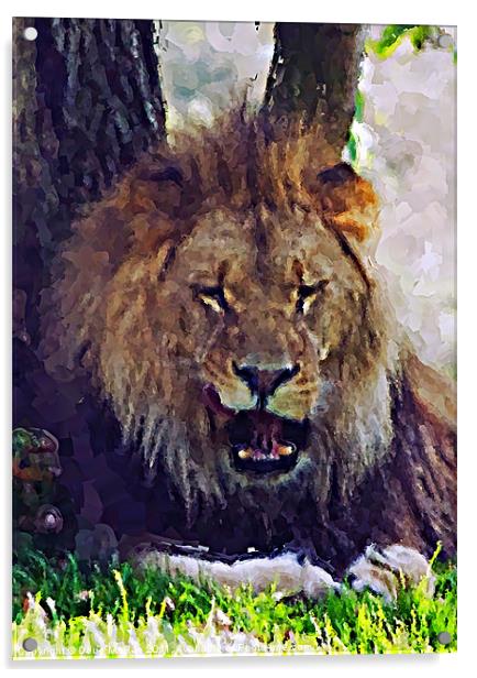 Lion painting Acrylic by Doug McRae