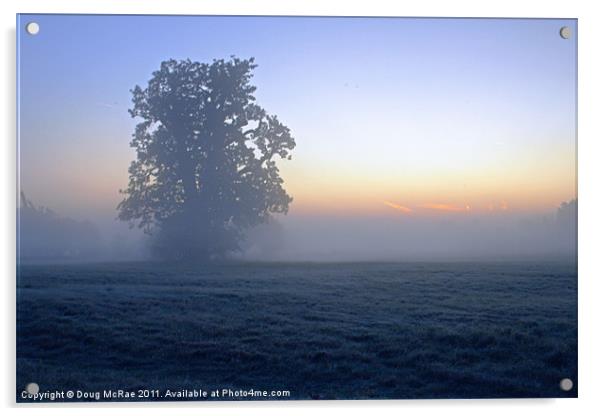 Oak in the mist Acrylic by Doug McRae