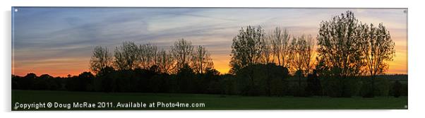 Sunset and trees Acrylic by Doug McRae