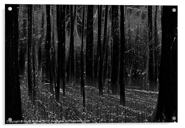 Mystery woods Acrylic by Doug McRae