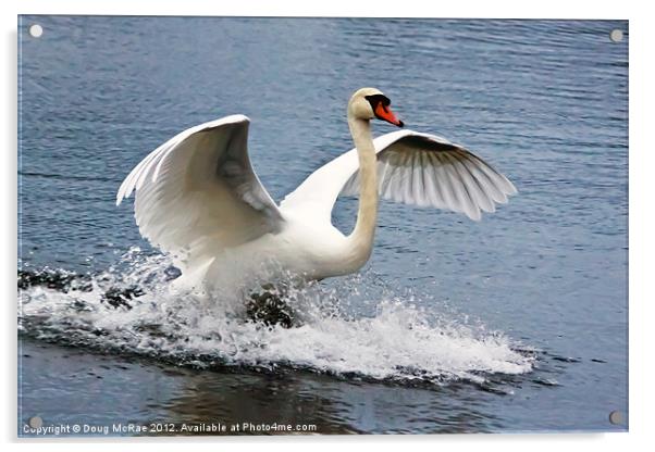 Landing Acrylic by Doug McRae