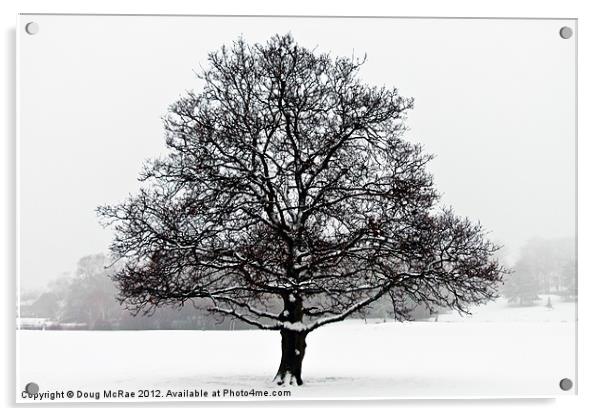 Snow oak Acrylic by Doug McRae