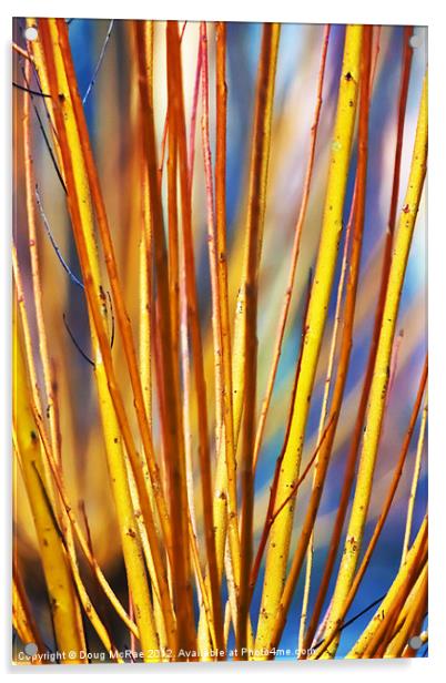 Coloured sticks Acrylic by Doug McRae