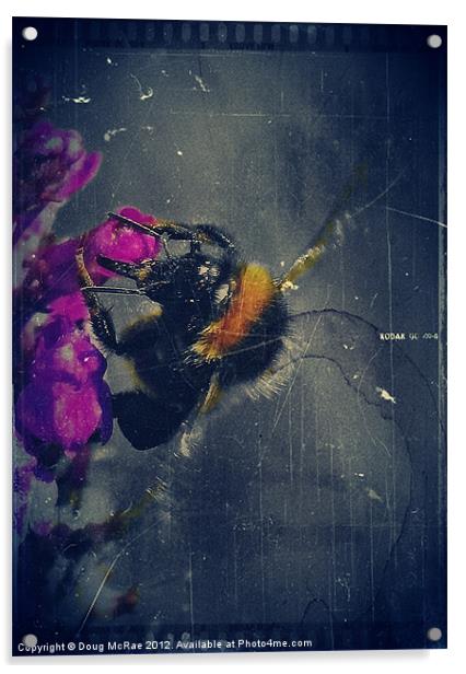 Bee Acrylic by Doug McRae