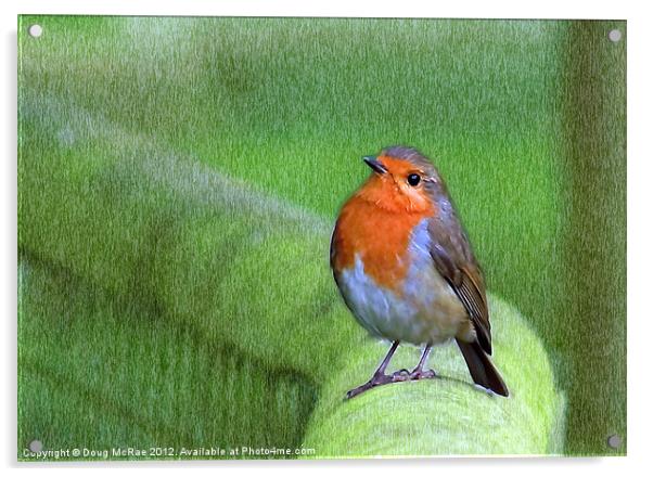 Robin Acrylic by Doug McRae