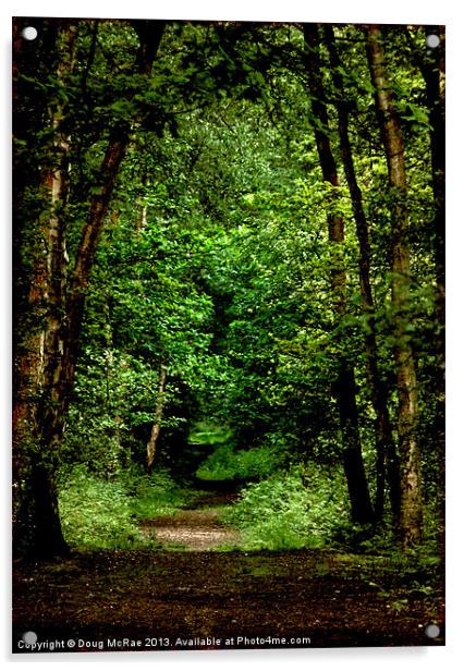 woodland path Acrylic by Doug McRae