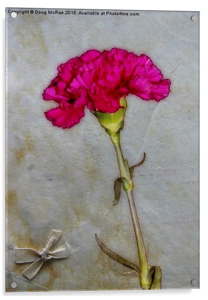 Carnation and bow Acrylic by Doug McRae