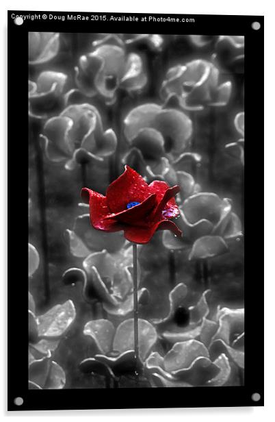  Red Poppy Acrylic by Doug McRae