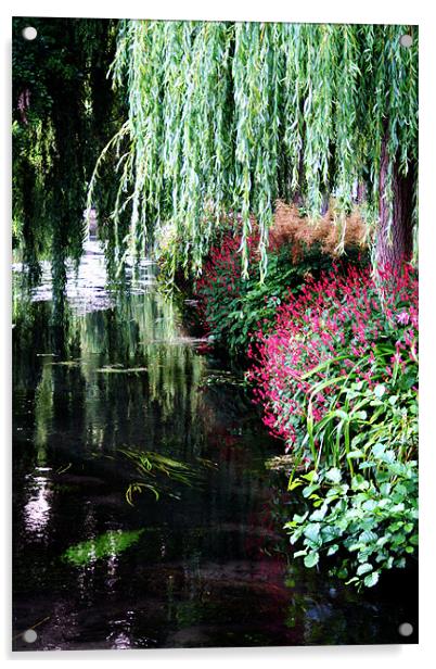 River itchen winchester Acrylic by Doug McRae