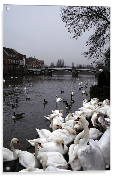 Thames at Windsor Acrylic by Doug McRae