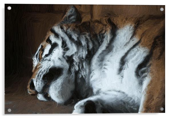 Painted sleeping tiger Acrylic by Doug McRae