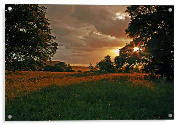 Sunset at Windsor Great Park Acrylic by Doug McRae