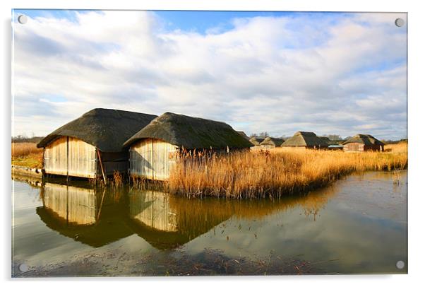 Old Thatched Boat Houses, Norfolk Acrylic by Sandi-Cockayne ADPS