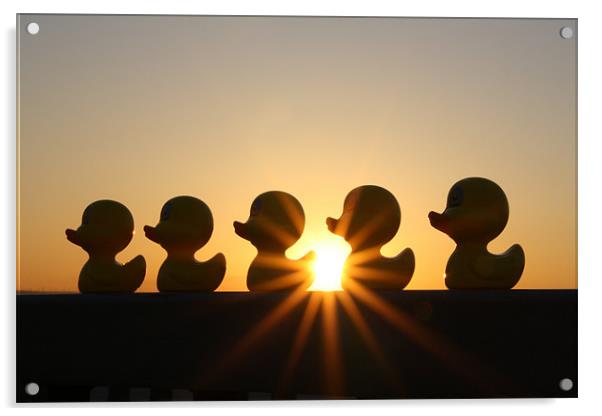 Duck Fun In The Sun! Acrylic by Sandi-Cockayne ADPS