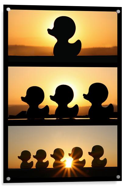 Duck Fun In The Sun! - Triptych Acrylic by Sandi-Cockayne ADPS