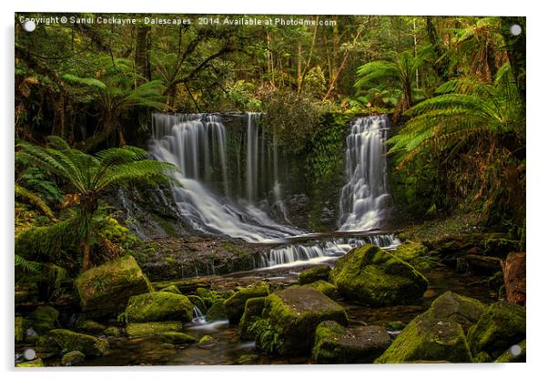  Horseshoe Falls, Mountfield National Pk, Tasmania Acrylic by Sandi-Cockayne ADPS