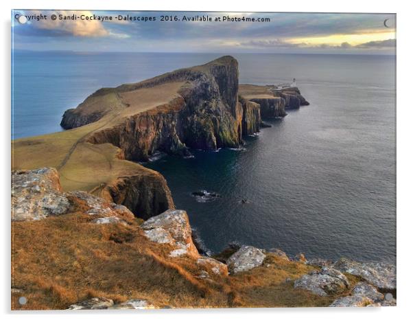 Neist Point,  Isle Of Skye Acrylic by Sandi-Cockayne ADPS
