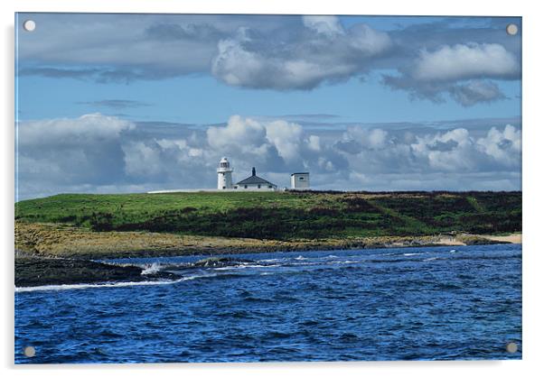 Lighthouse On Outer Farne, The Farne Islands Acrylic by Sandi-Cockayne ADPS