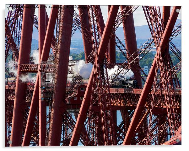 Forth Bridge Close up Acrylic by Colin irwin