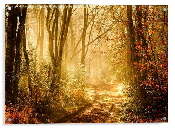  Light To My Path Acrylic by Samantha Higgs