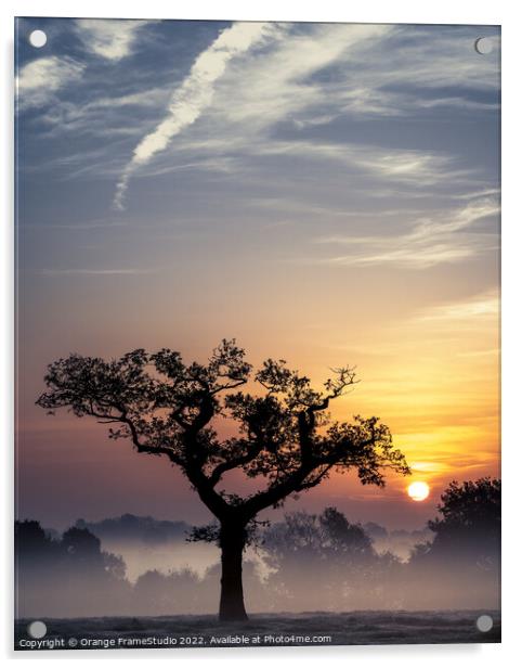 Tree Silhouette Sunrise Acrylic by Orange FrameStudio