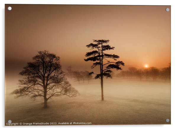 Sunrise on misty morning trees Acrylic by Orange FrameStudio