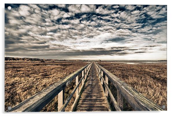 Foot bridge HDR Acrylic by Orange FrameStudio