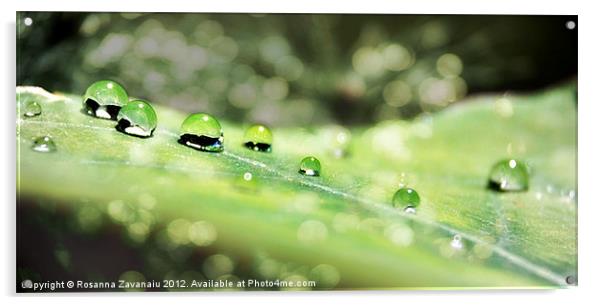 Waterdrops & Bokeh. Acrylic by Rosanna Zavanaiu