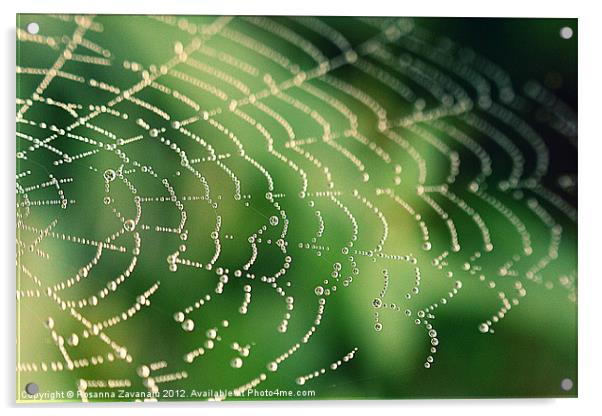 Natures Webs 2. Acrylic by Rosanna Zavanaiu