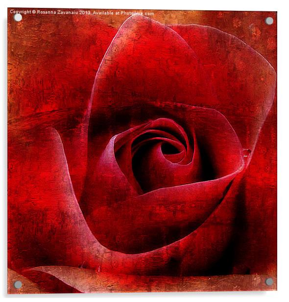 Red Rose Paintings Acrylic by Rosanna Zavanaiu