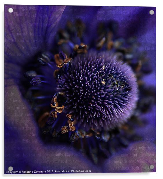Purple Anemone. Acrylic by Rosanna Zavanaiu