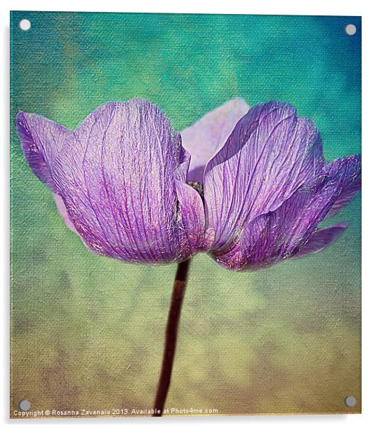 Purple Anemone. Acrylic by Rosanna Zavanaiu