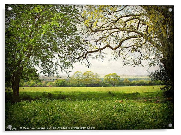 Rural Norfolk. Acrylic by Rosanna Zavanaiu