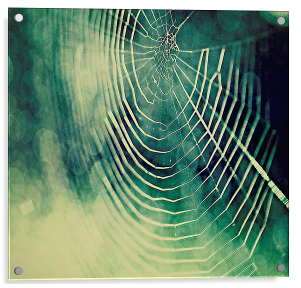 Spiders Web Bokeh Acrylic by Rosanna Zavanaiu