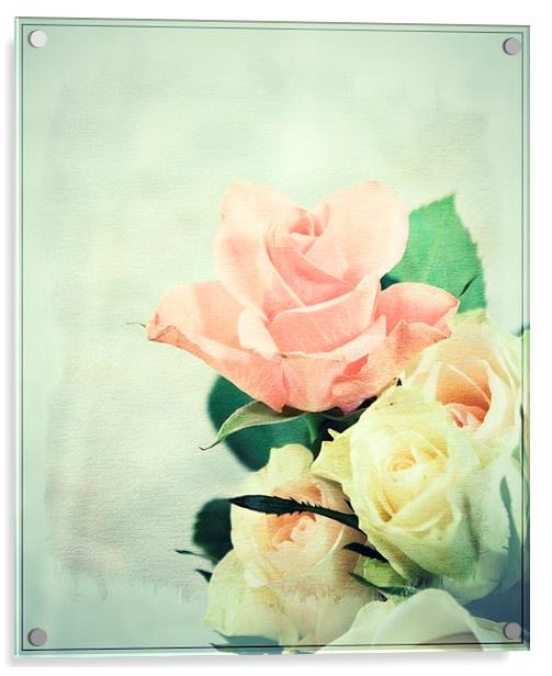 Rose Delights . Acrylic by Rosanna Zavanaiu