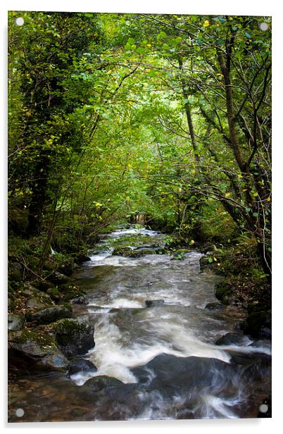 October Stream Acrylic by Sean Wareing